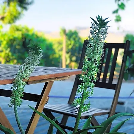 Bed & Breakfast Quinta Pecega - Al 3*