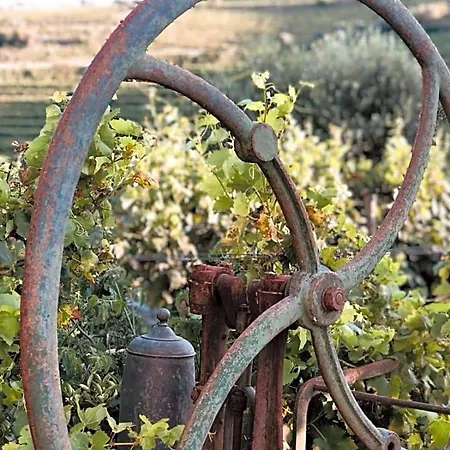 Quinta Pecega - Al