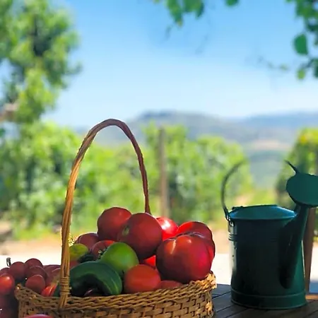 Bed & Breakfast Quinta Pecega - Al