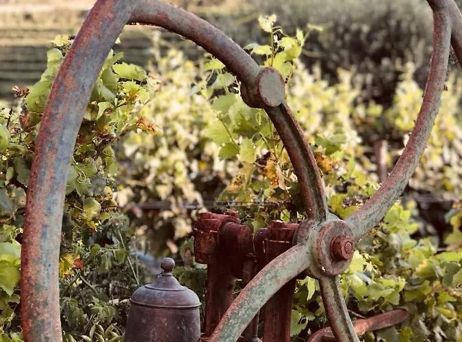 Quinta Pecega - Al ベッド・アンド・ブレックファスト ペーゾ・ダ・レーグア