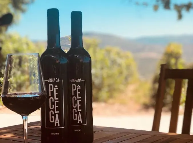 ベッド・アンド・ブレックファスト Quinta Pecega - Al ペーゾ・ダ・レーグア