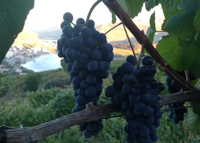 Couette-café Quinta Pecêga - Al 3*