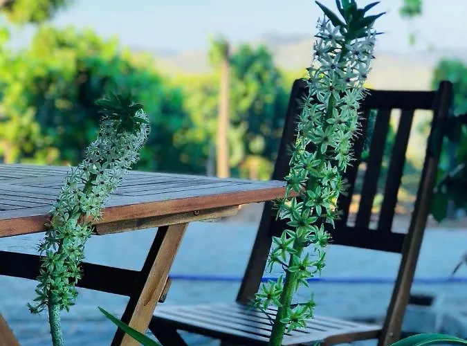 Quinta Pecêga - Al Couette-café Peso da Régua